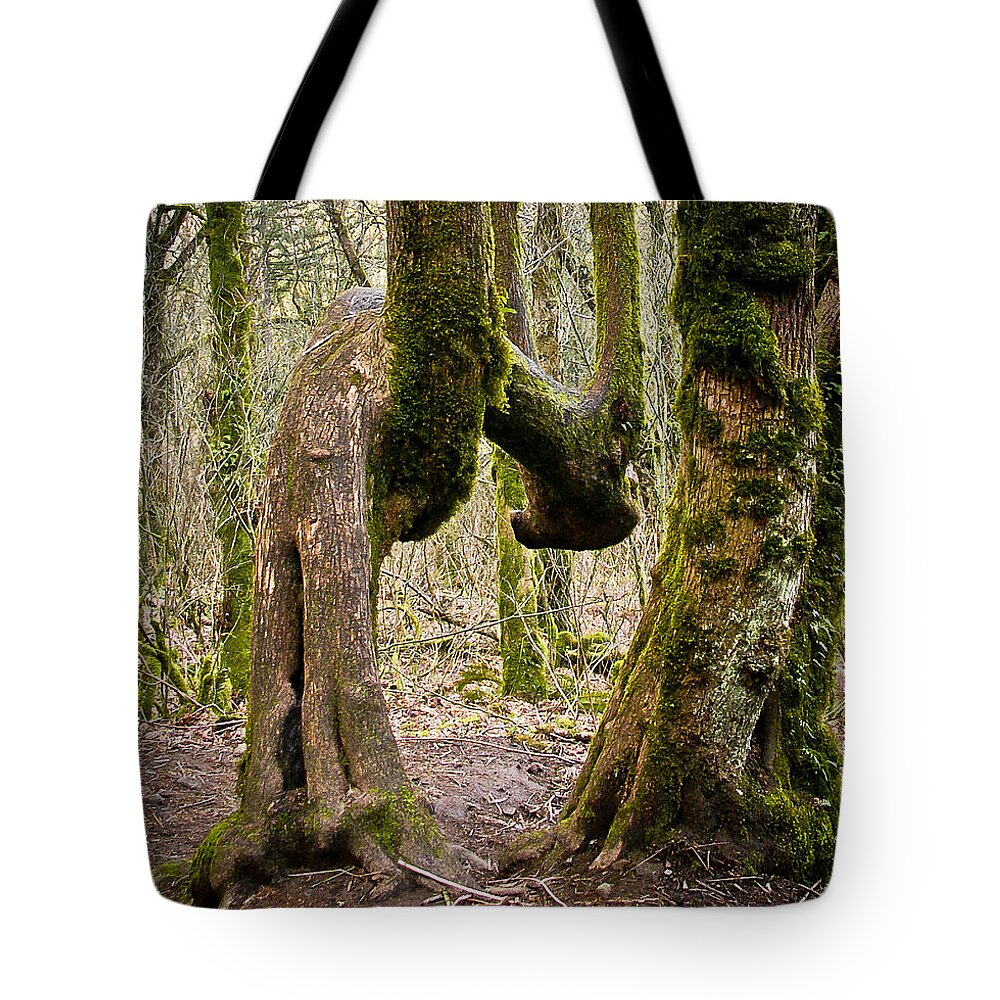 Trees Tote Bag featuring the photograph Bad Back by Albert Seger