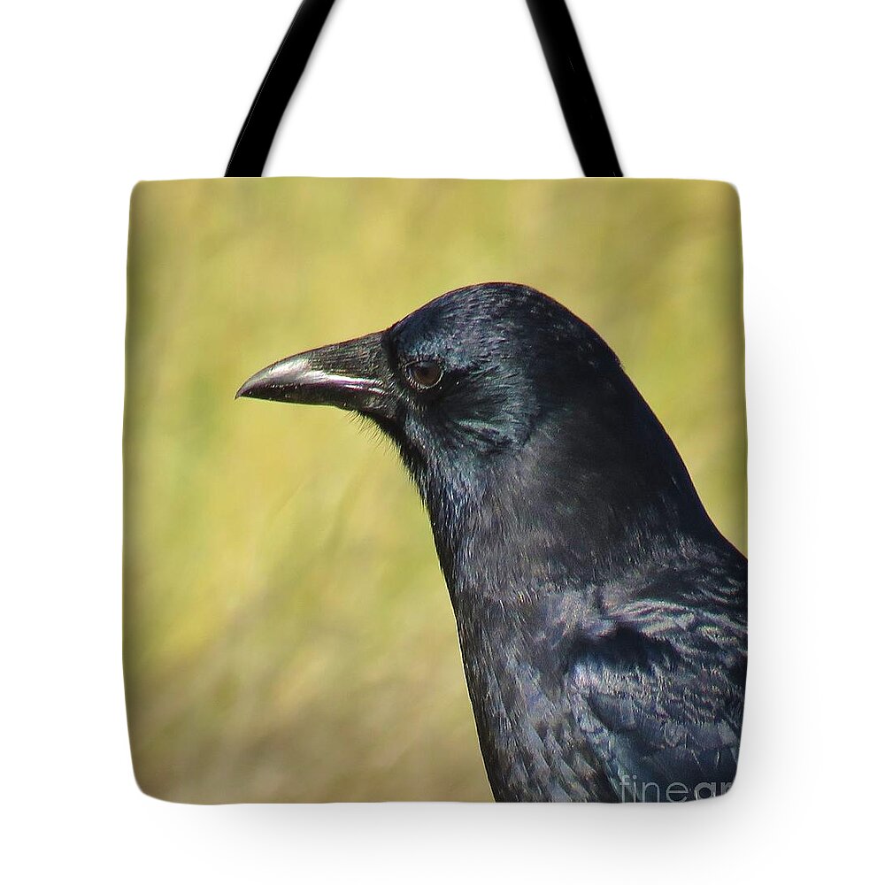 Corvus Corax Tote Bag featuring the photograph Corvus Corax by Michele Penner