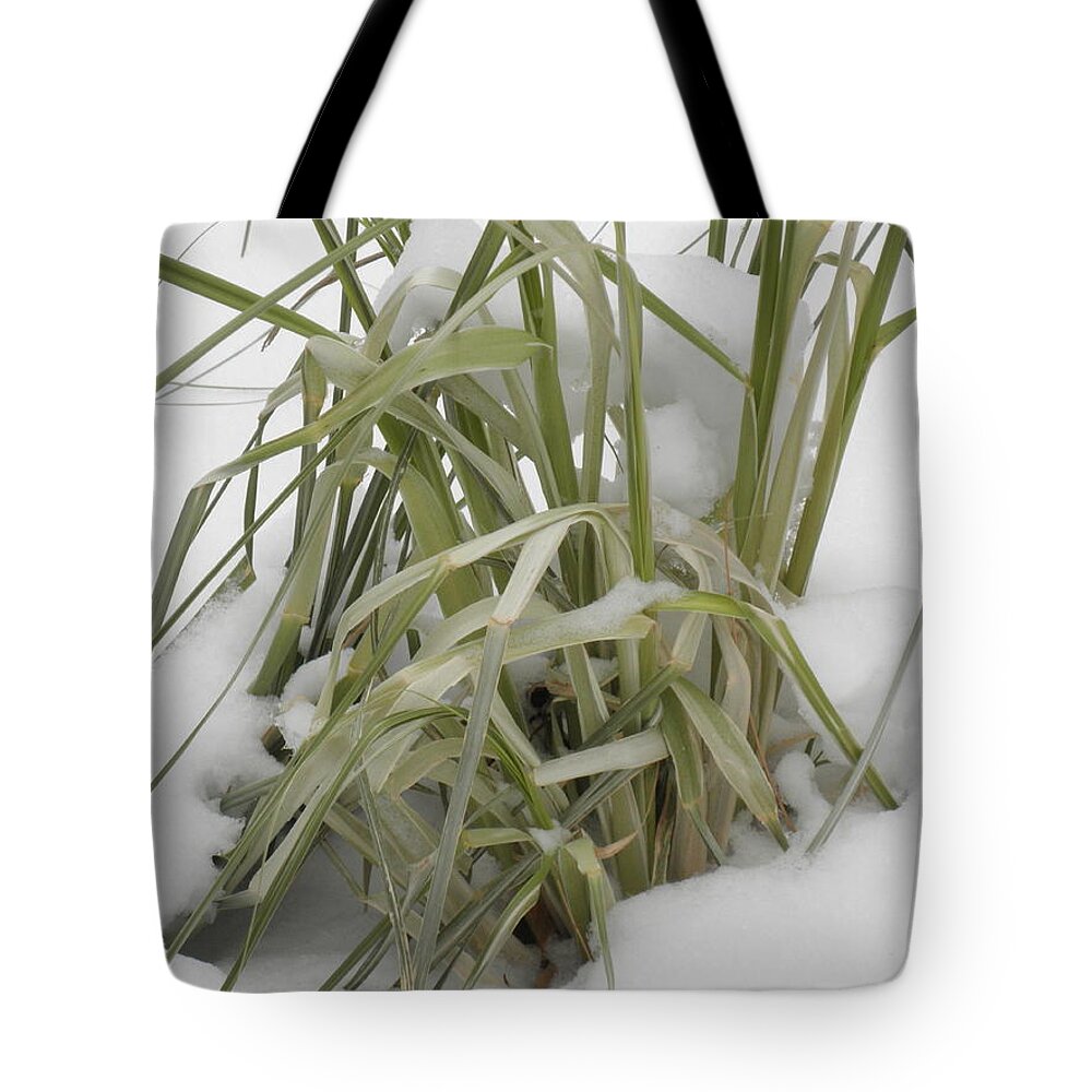 Grass Tote Bag featuring the photograph Bad Timing by Barbara Keith