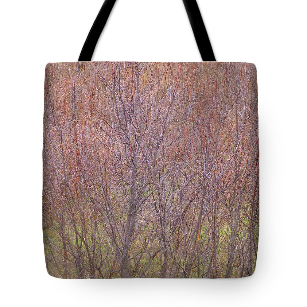North Dakota Tote Bag featuring the photograph Badlands Branches by Cris Fulton