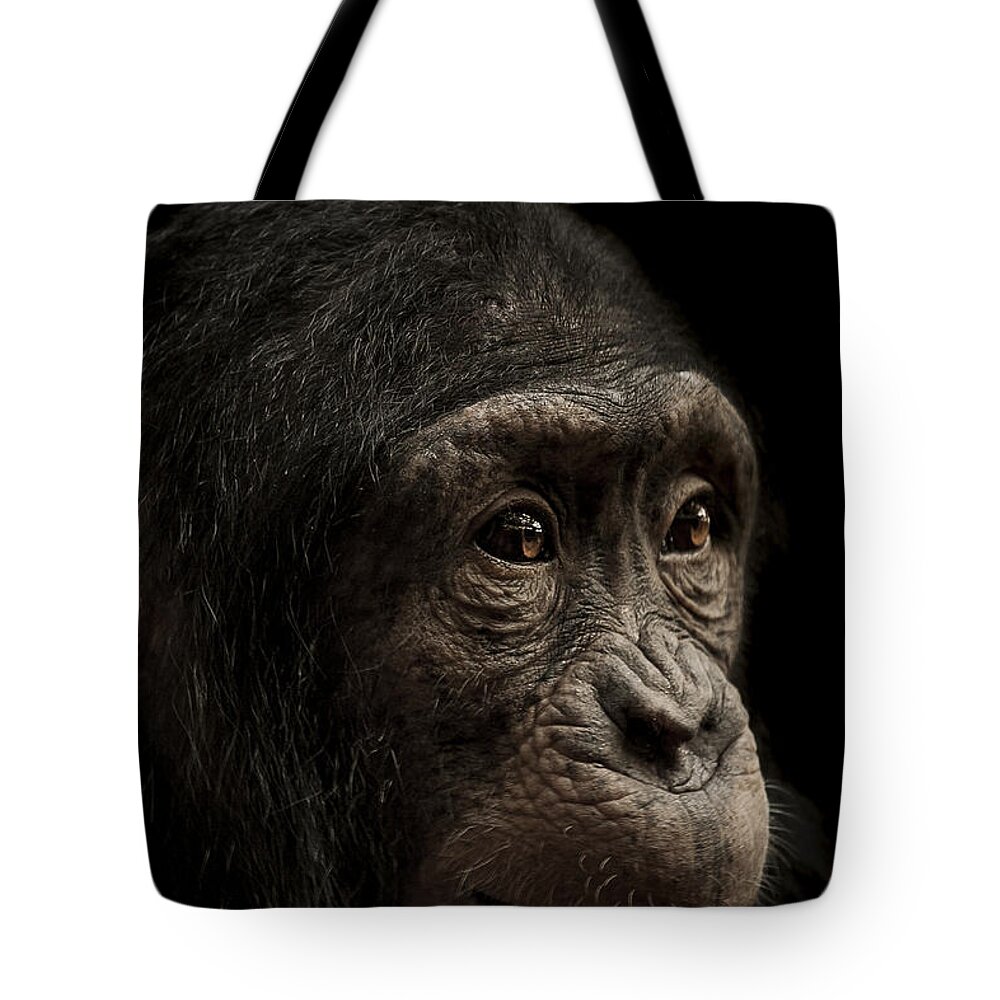 Chimpanzee Tote Bag featuring the photograph Baffled by Paul Neville