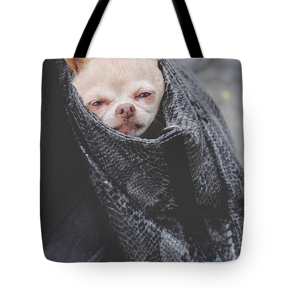 Dogs Tote Bag featuring the photograph Bagged by Laurie Search