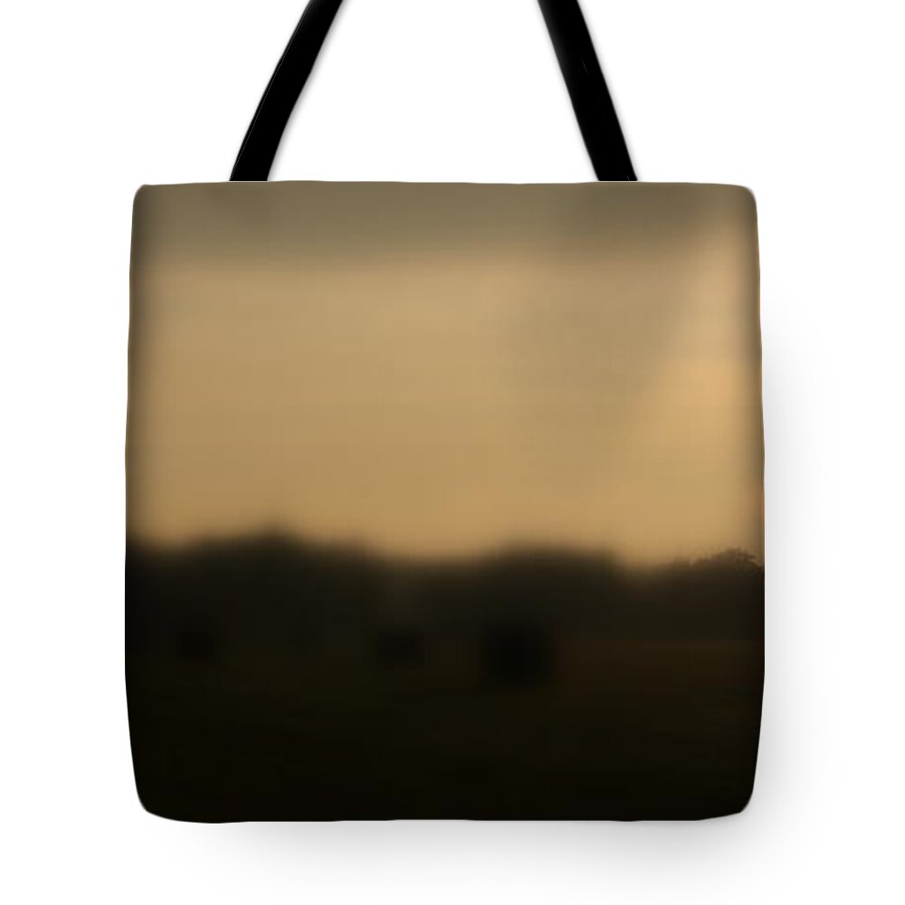 Bail Out Photos Tote Bags