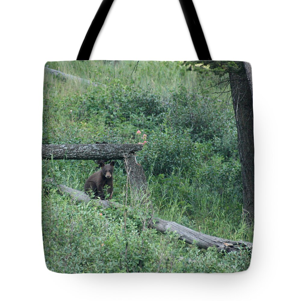 Animal Tote Bag featuring the photograph Balance Beam by Mary Mikawoz