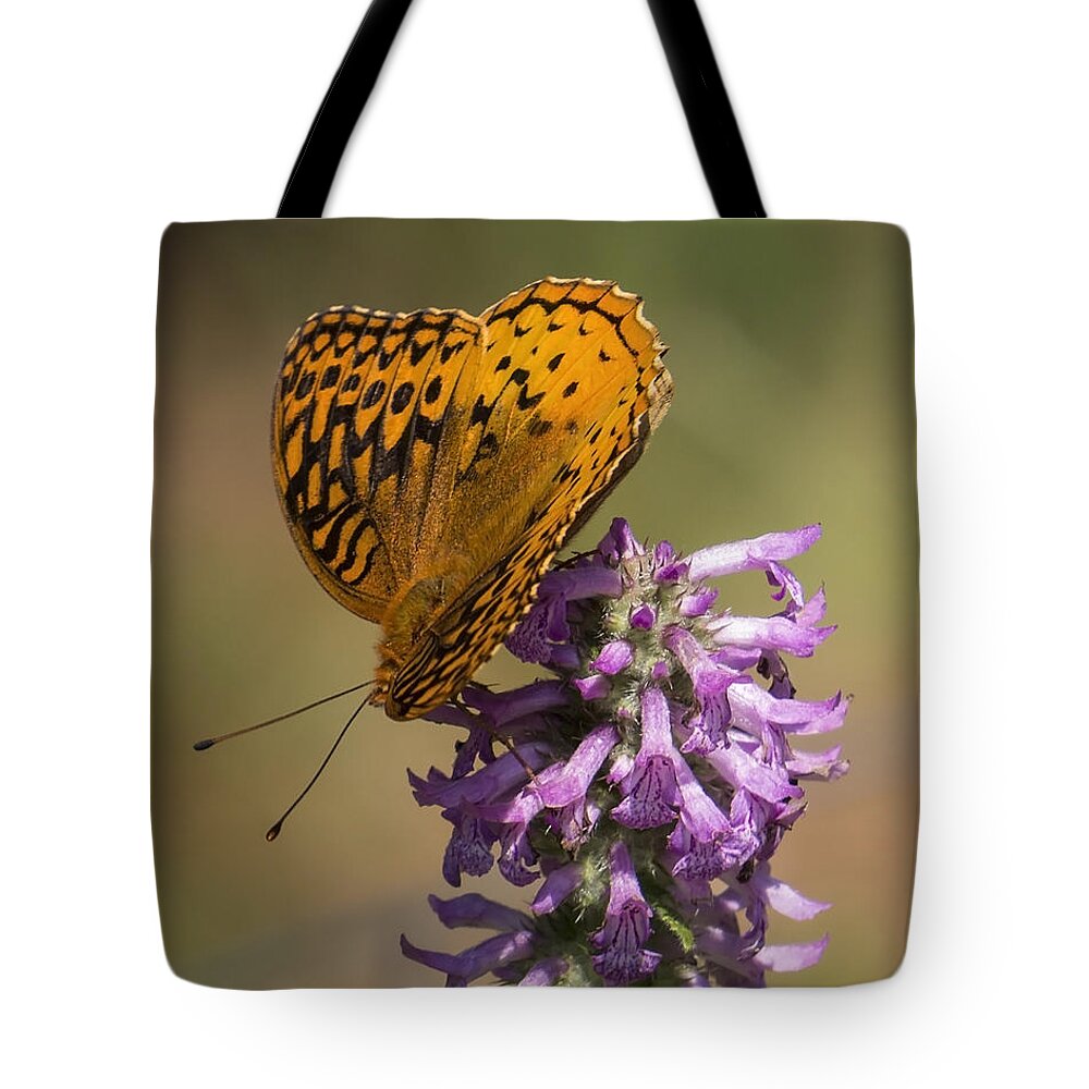 Insects Tote Bag featuring the photograph Balance by Lili Feinstein
