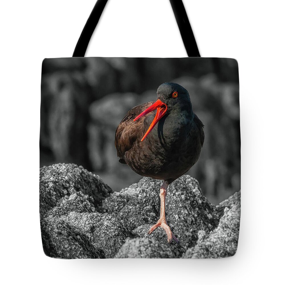  Wildlife Tote Bag featuring the photograph Balancing Act by Jonathan Nguyen