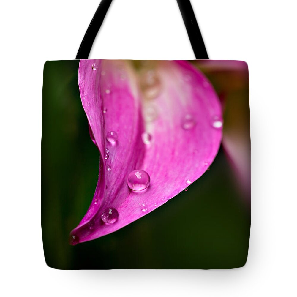 Floral Tote Bag featuring the photograph Balancing Act by Mary Jo Allen