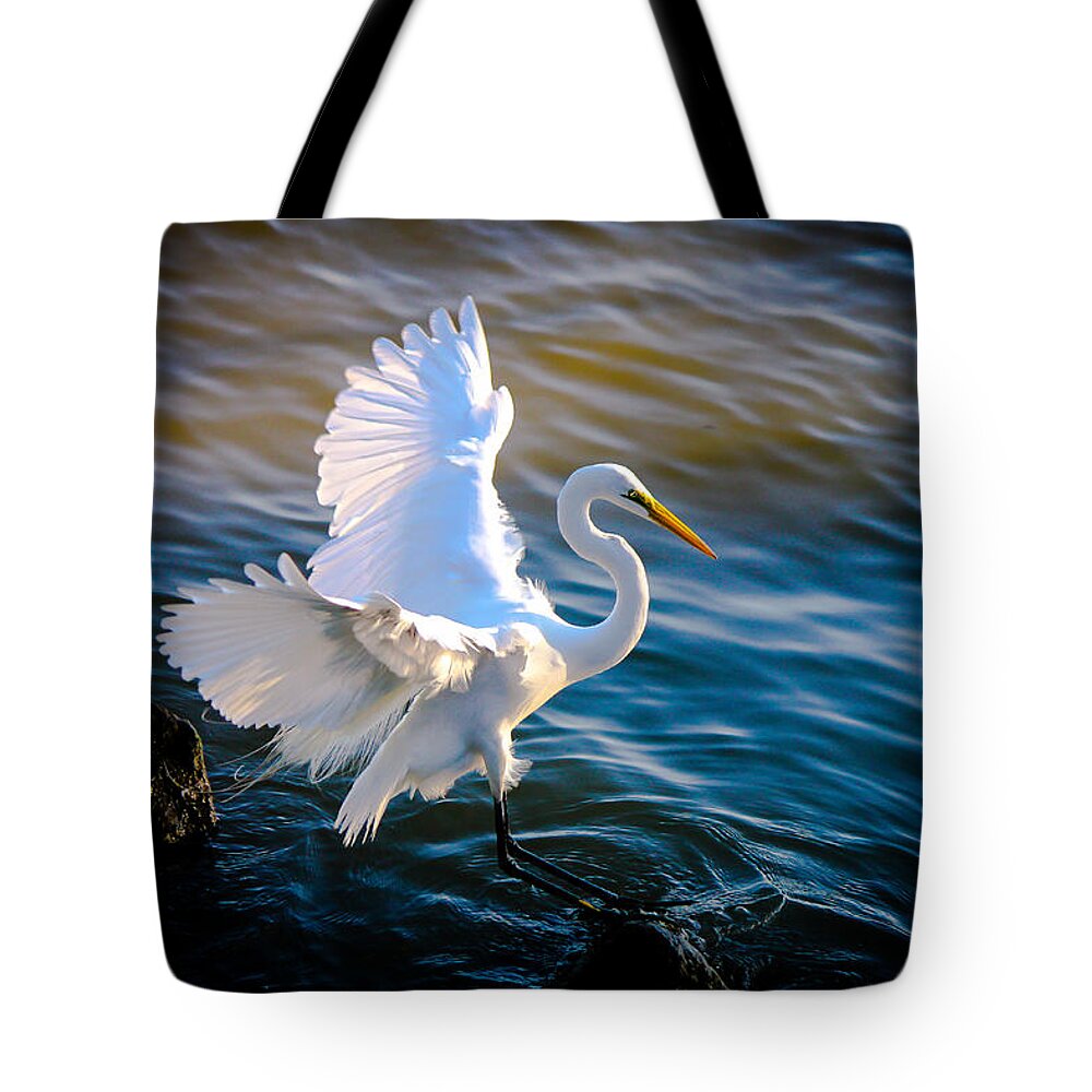 Pictures Of Egrets Tote Bag featuring the photograph Balancing Act Great White Egret by Ola Allen