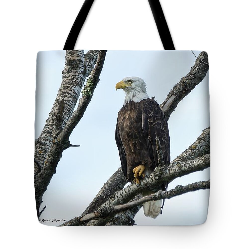 Bird Tote Bag featuring the photograph Bald Eagle 5 by Steven Clipperton