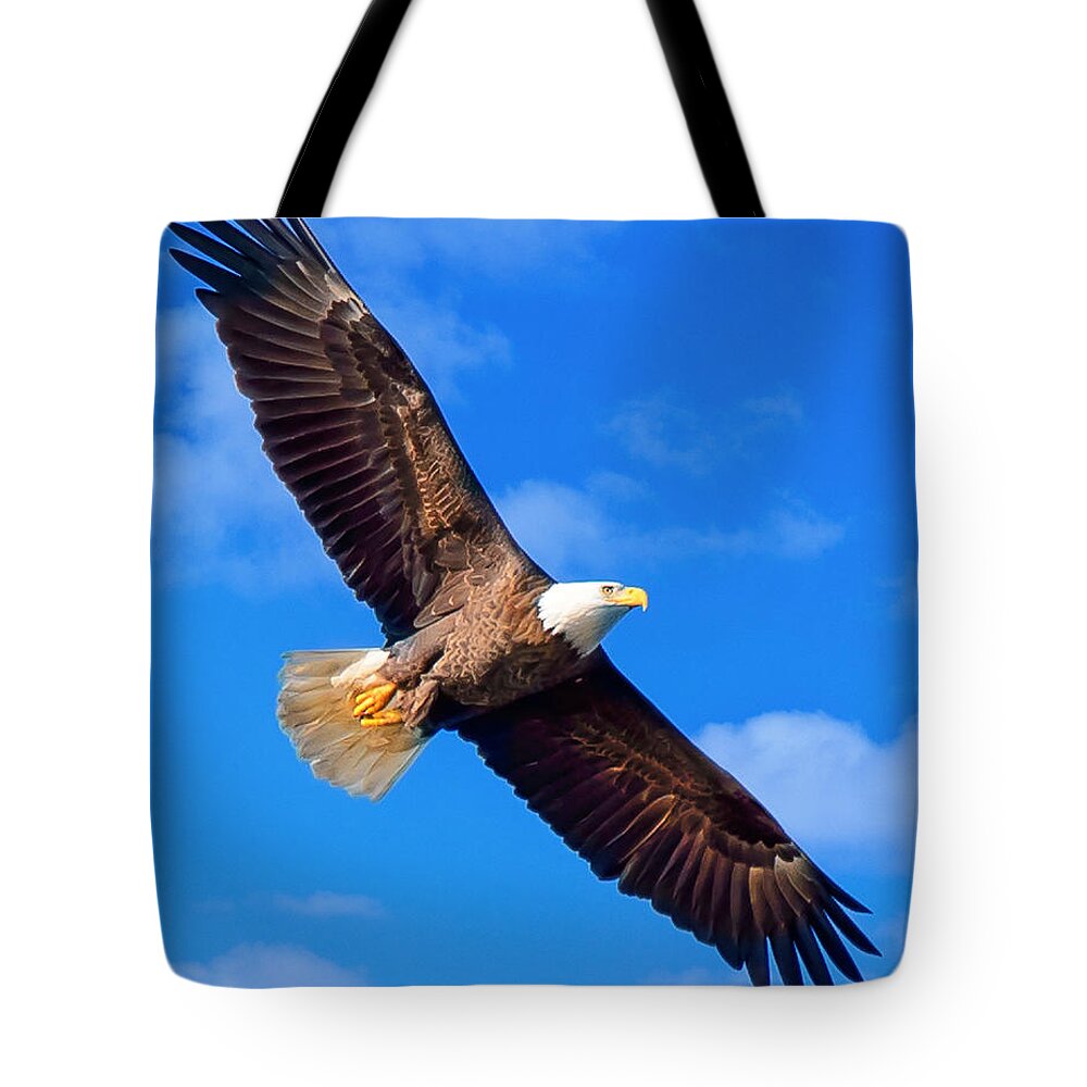 Bald Eagle Tote Bag featuring the photograph Bald Eagle Flying by Joe Granita