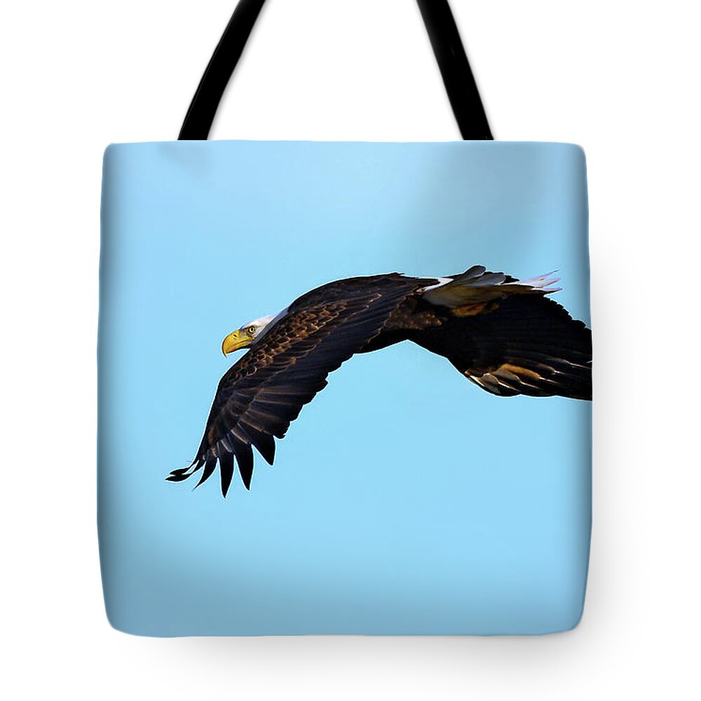 Usa Tote Bag featuring the photograph Bald Eagle Horizons by Patrick Wolf