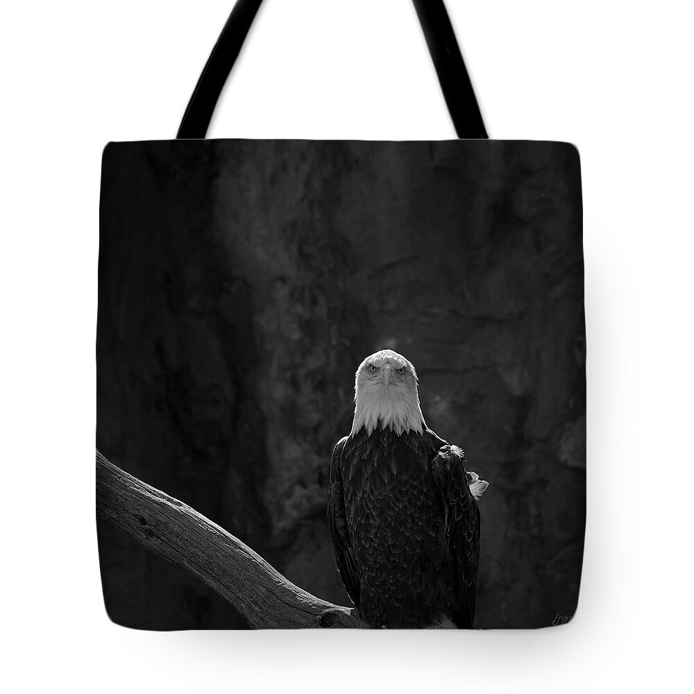 Eagle Tote Bag featuring the photograph Bald Eagle I BW by David Gordon