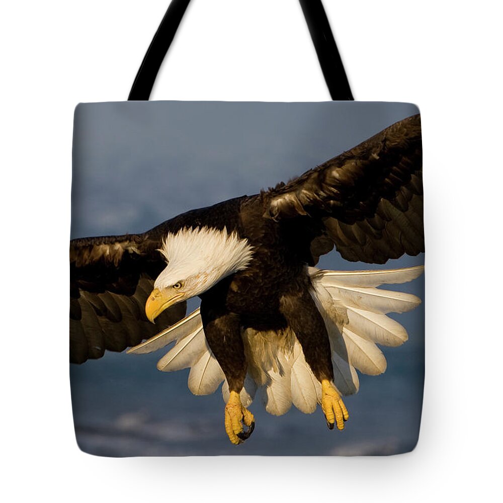 Eagle Tote Bag featuring the photograph Bald Eagle in Action by Mark Miller
