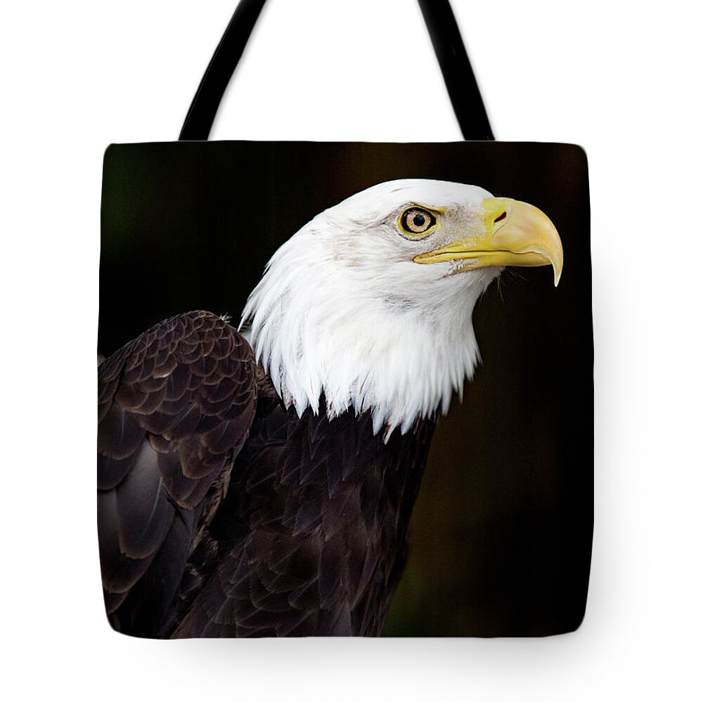 The Animal Tote Bag featuring the digital art Bald Eagle - PNW by Birdly Canada