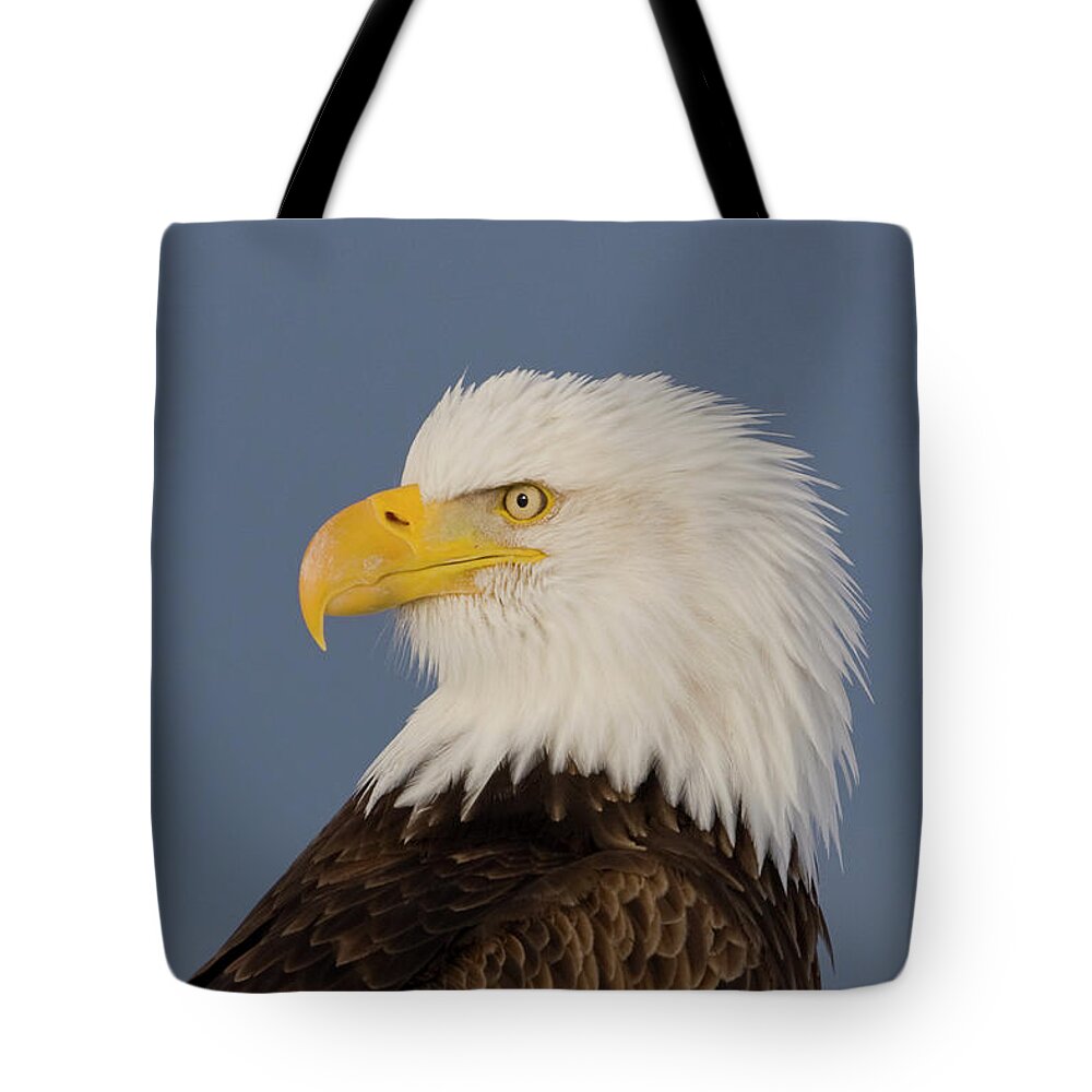 Eagles Tote Bag featuring the photograph Bald Eagle Portrait by Mark Miller
