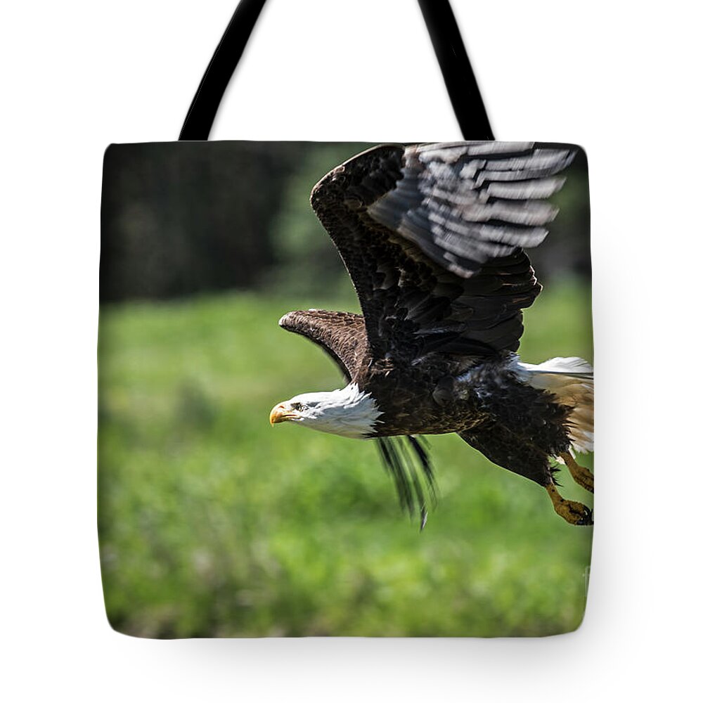 Bald Eagle Tote Bag featuring the photograph Bald Eagle-3372 by Steve Somerville