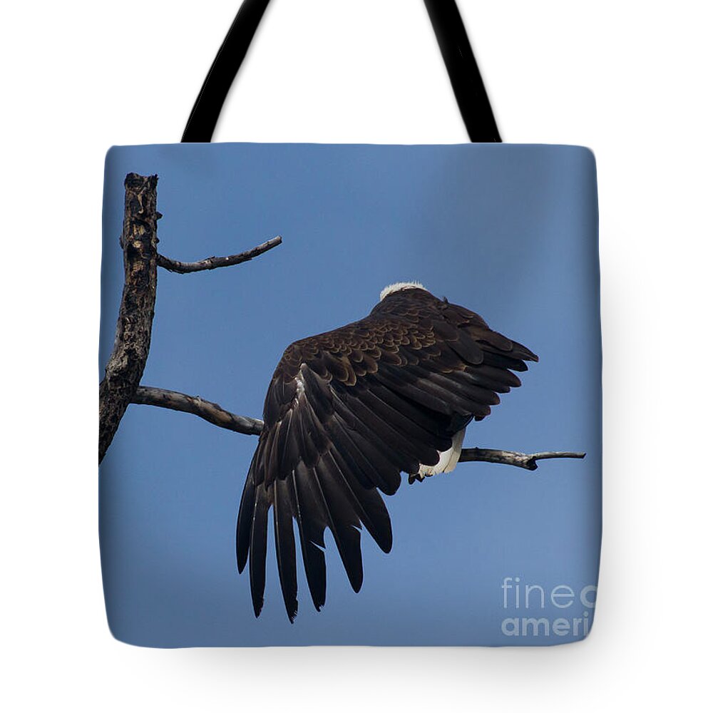 Eagle Tote Bag featuring the photograph Bald Eagle Wing Stretch-Signed-#7658 by J L Woody Wooden