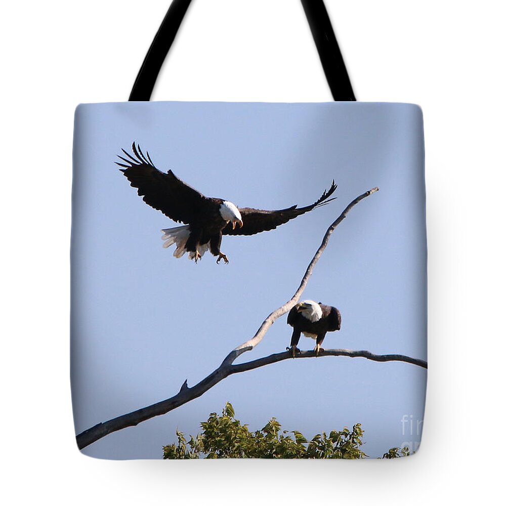 Bald Eagles Tote Bag featuring the photograph Bald Eagles 1274 by Jack Schultz