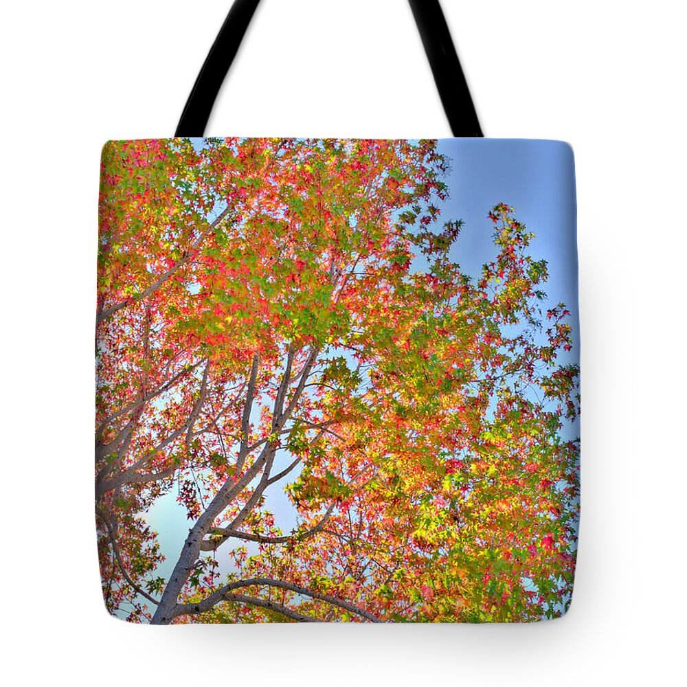 Fall Tote Bag featuring the photograph Ball to the Wall Fall by Derek Dean