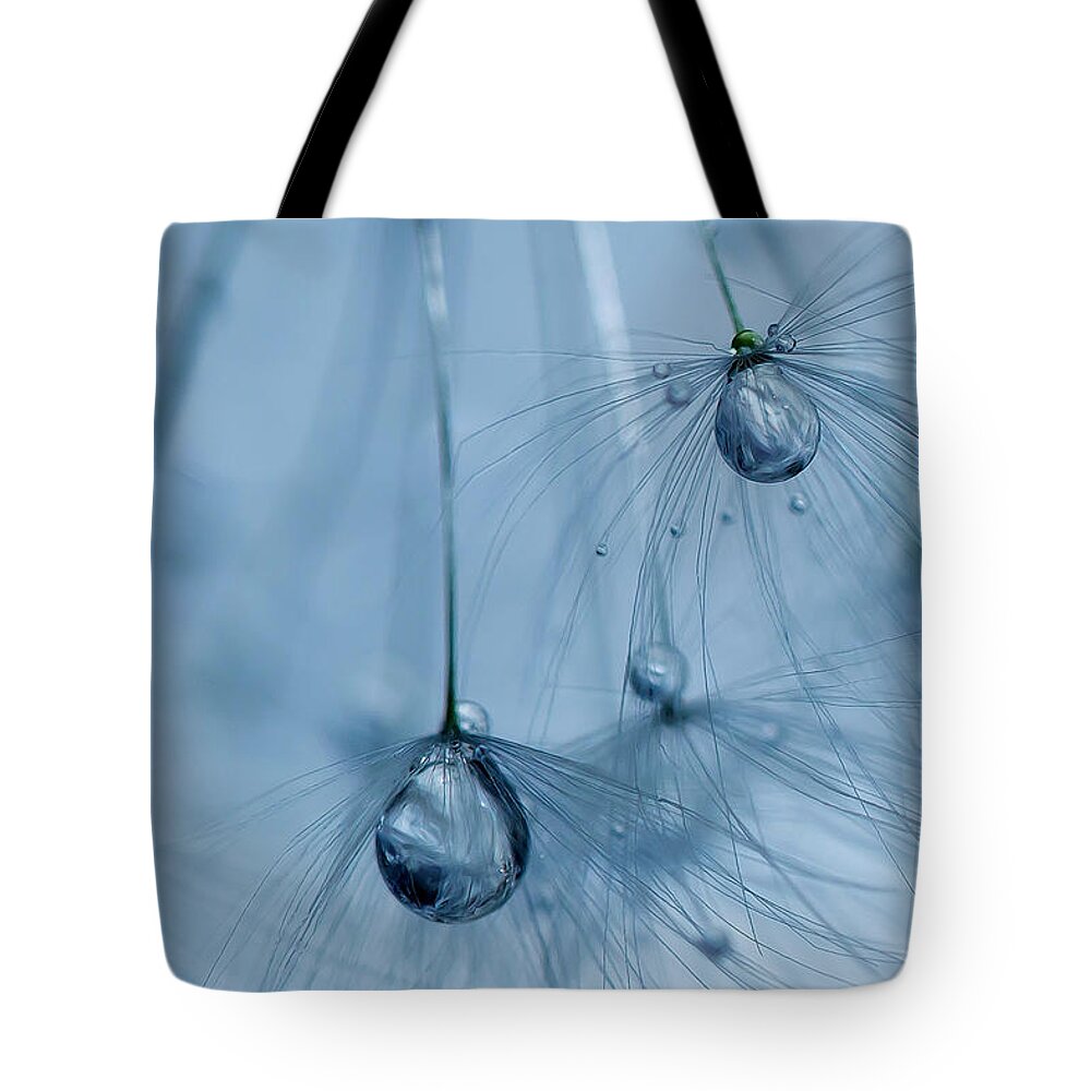 Dandelions Tote Bag featuring the photograph Ballerinas by Rebecca Cozart