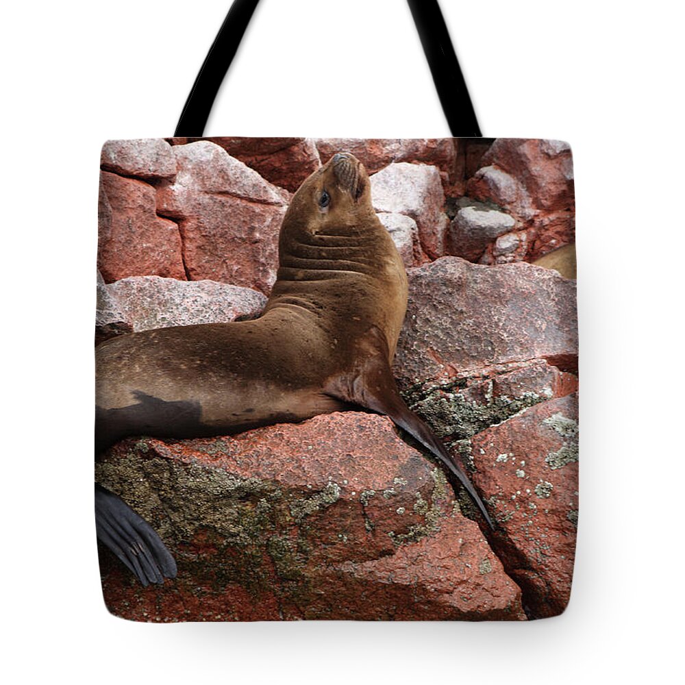 Fur Seals Tote Bag featuring the photograph Ballestas Island Fur Seals by Aidan Moran