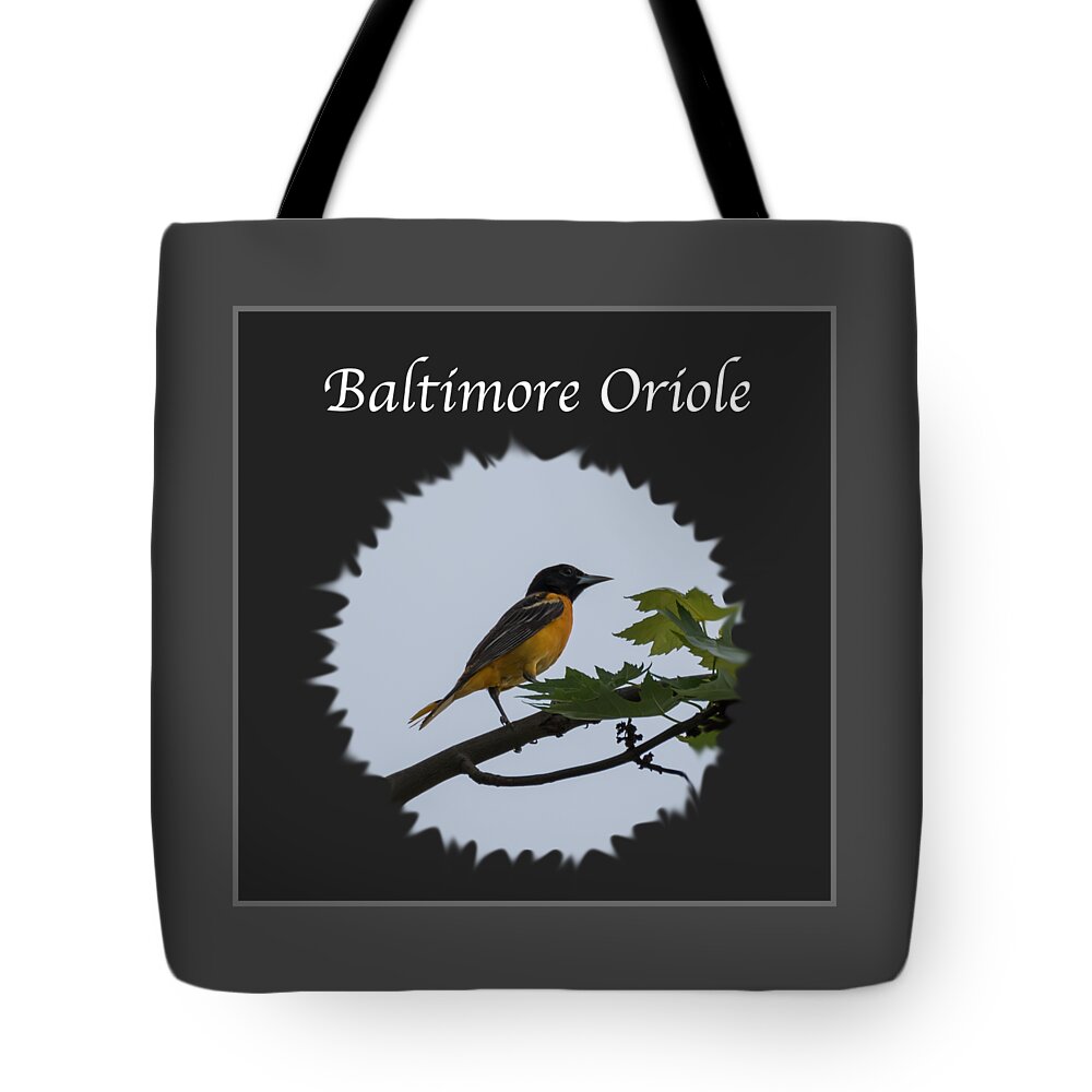Baltimore Oriole Tote Bag featuring the photograph Baltimore Oriole by Holden The Moment
