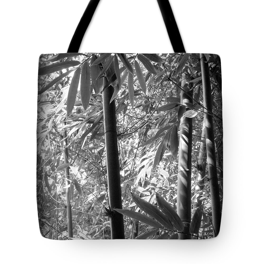 Bamboo Tote Bag featuring the photograph Bamboo Canes and Foliage by Nathan Abbott