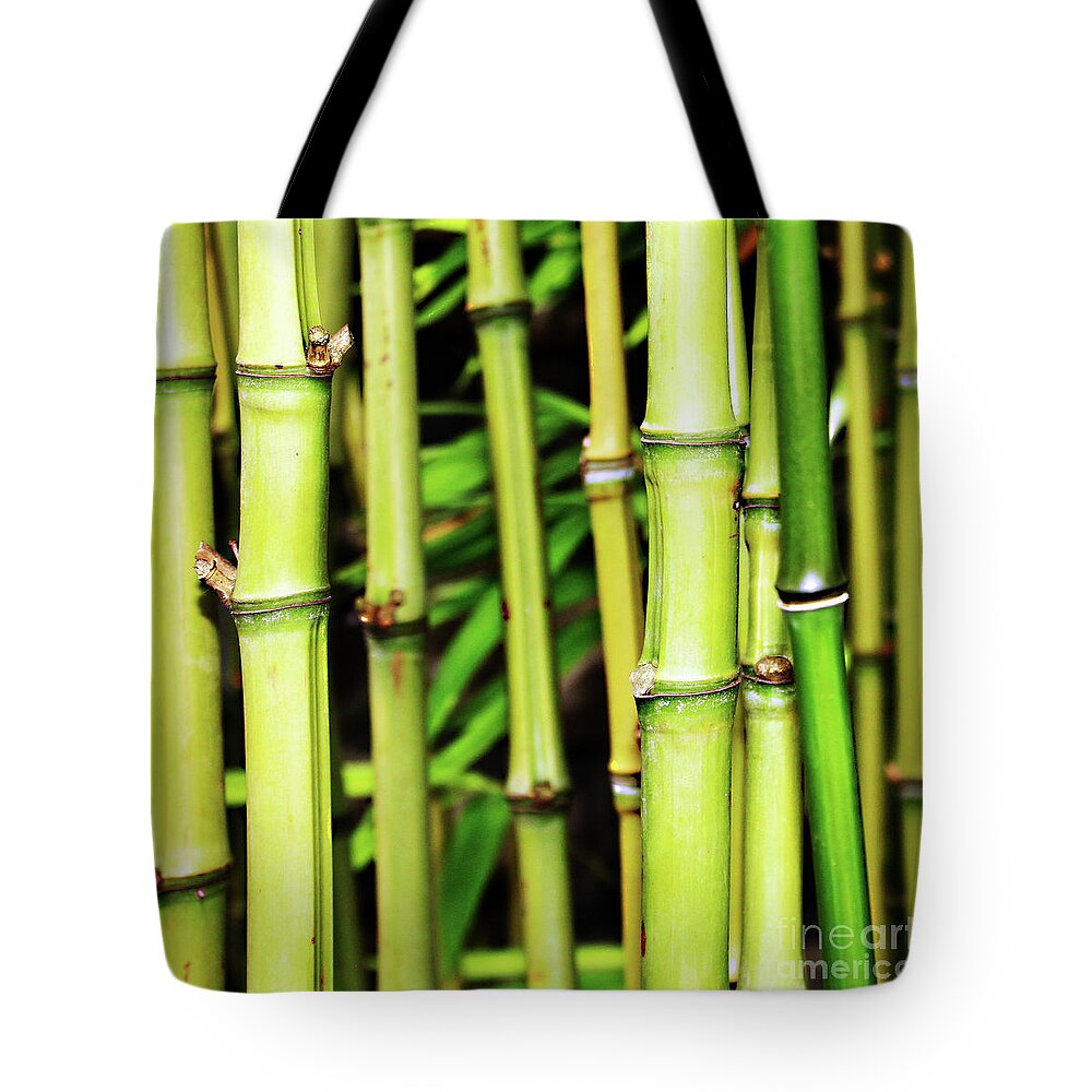 Nature Tote Bag featuring the photograph Bamboo Trunks by Fei A