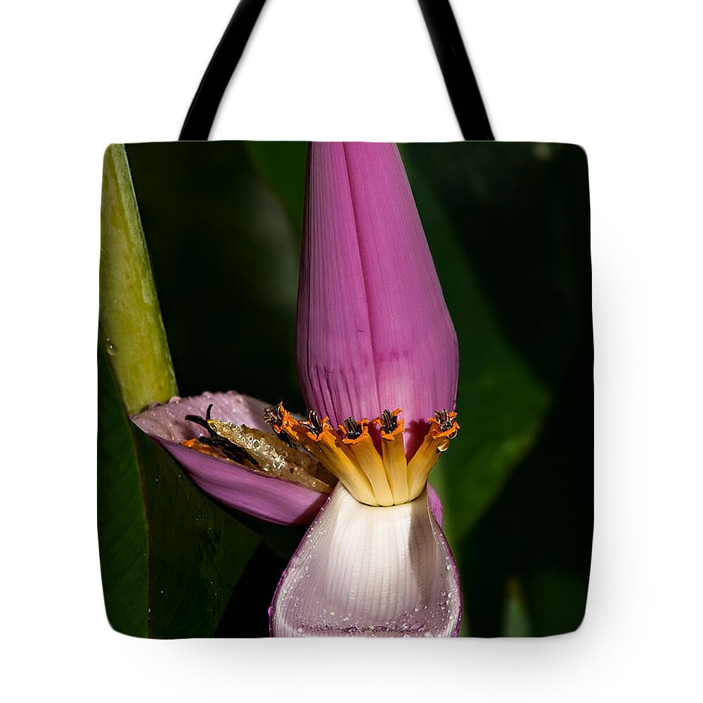 Flower Tote Bag featuring the photograph Banana Blossom by Christopher Holmes