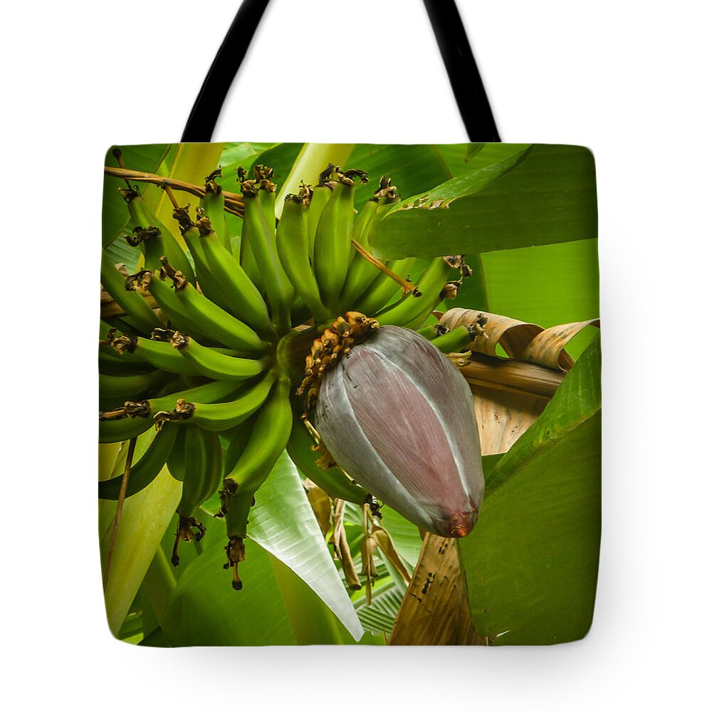 Banana Tote Bag featuring the photograph Banana with Flower by Pamela Newcomb