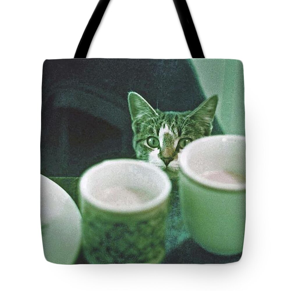  Tote Bag featuring the photograph Bandit by Laurie Stewart