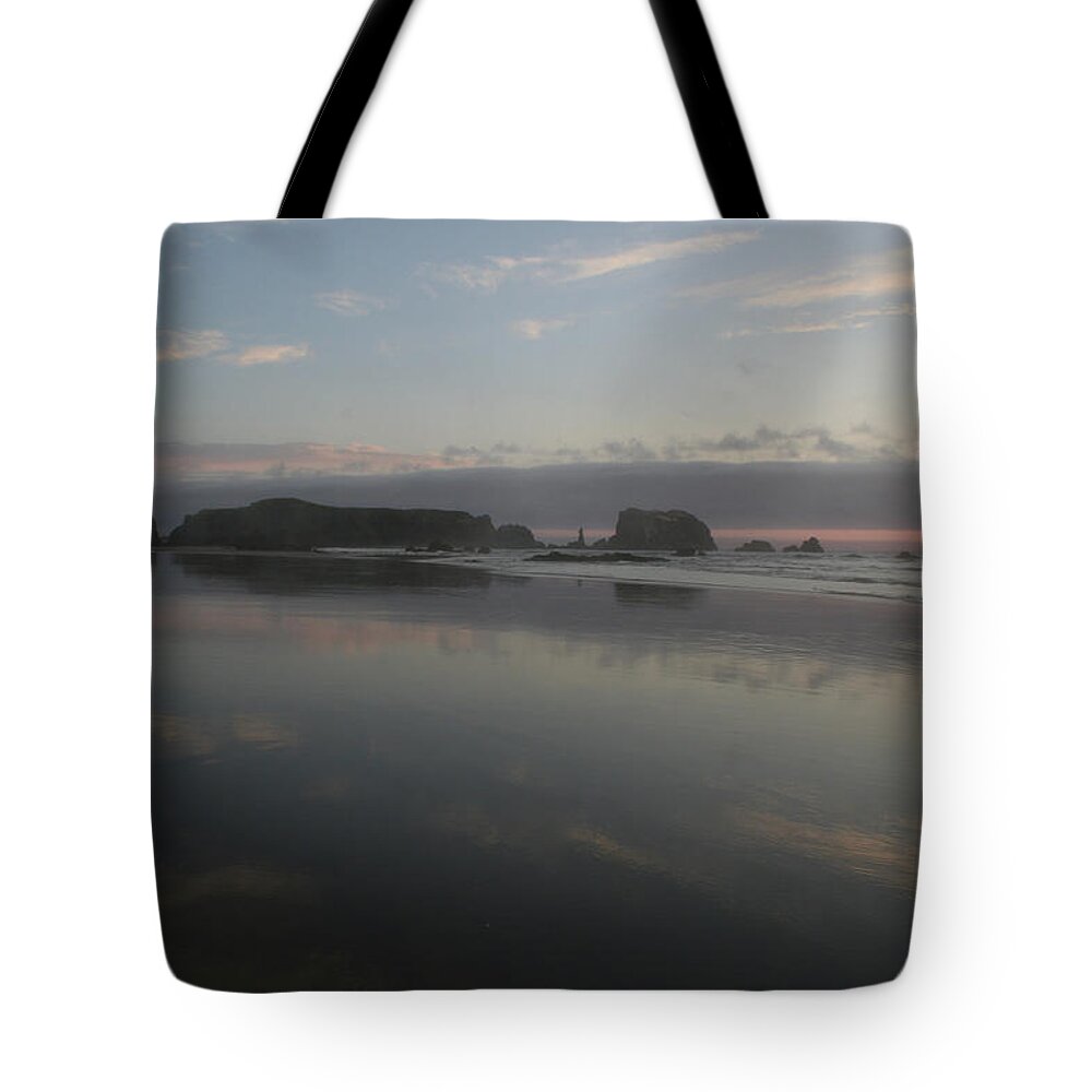 Landscape Tote Bag featuring the photograph Bandon Reflection I by Dylan Punke