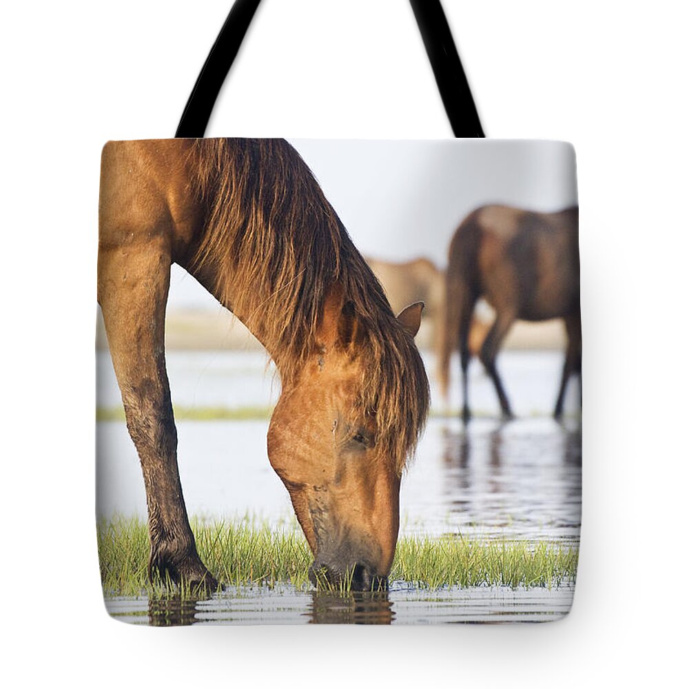 Wild Tote Bag featuring the photograph Banker Horses on Tidal Flat by Bob Decker