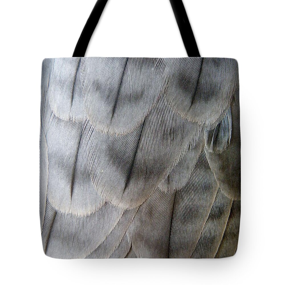 Falcon Tote Bag featuring the photograph Barbary Falcon Feathers by Lainie Wrightson