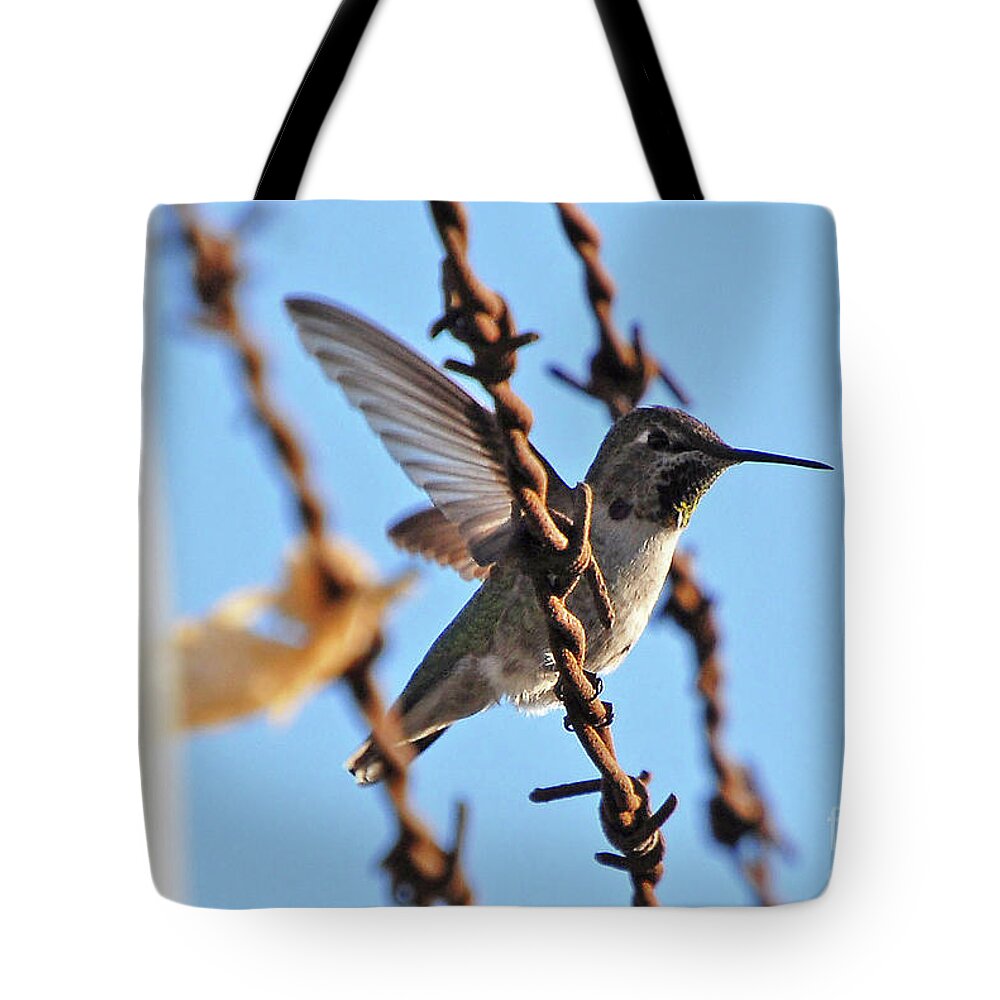 Edenlanding Tote Bag featuring the photograph Barbed Wire Angel by Erica Freeman