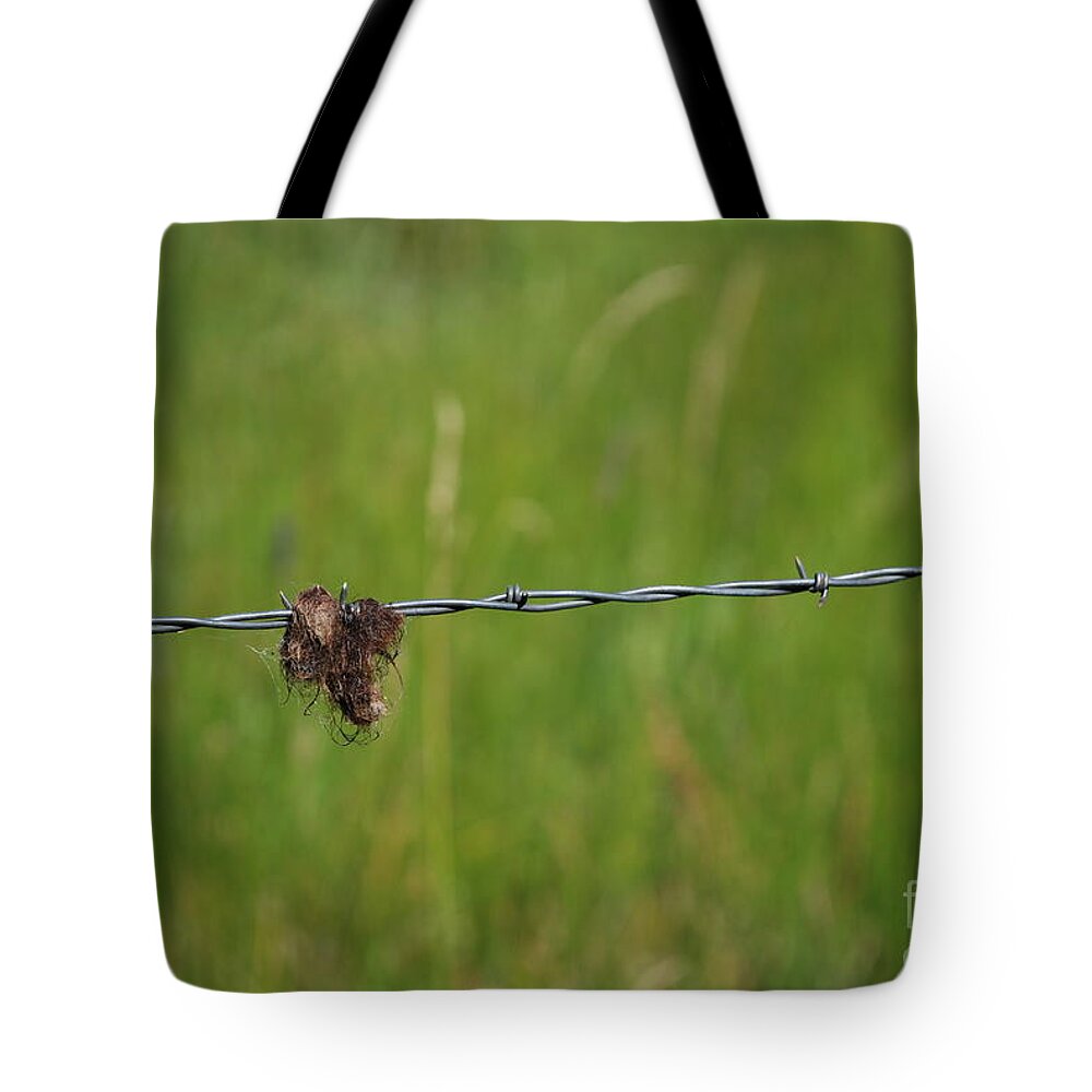 Barbed Wire Tote Bag featuring the photograph Barbed Wire by Jim Goodman