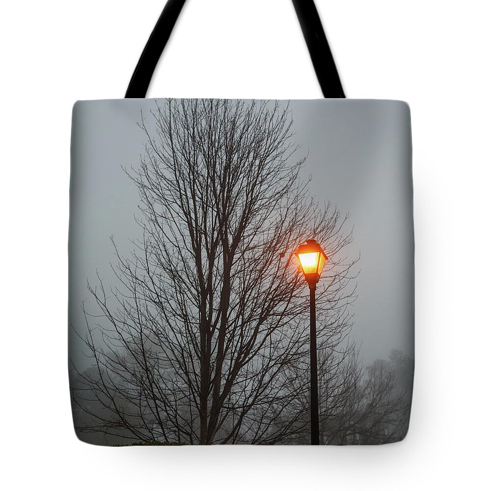Bare Tote Bag featuring the photograph Bare Tree and Street Light in Early Morning Fog by Darryl Brooks