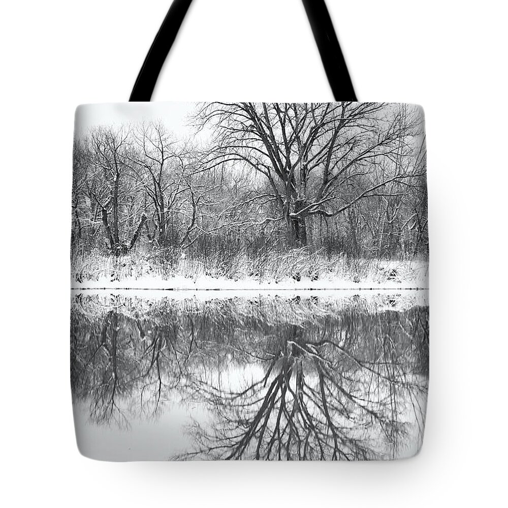 Trees Tote Bag featuring the photograph Bare Trees by Darren White