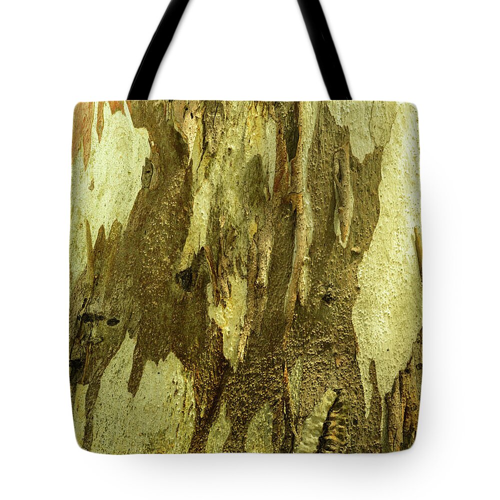Tree Tote Bag featuring the photograph Bark A04 by Werner Padarin