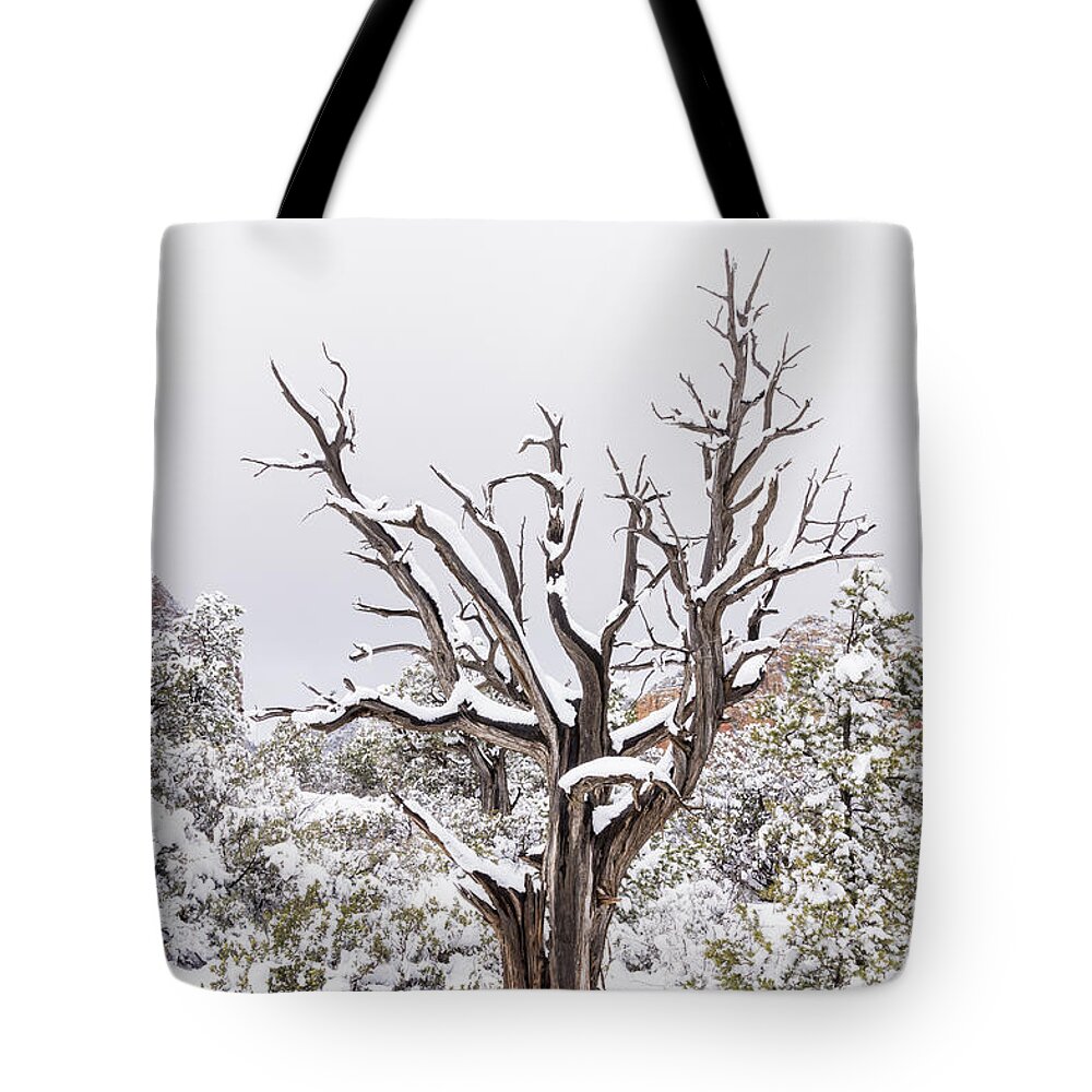 Sedona Tote Bag featuring the photograph Bark and white by Laura Pratt