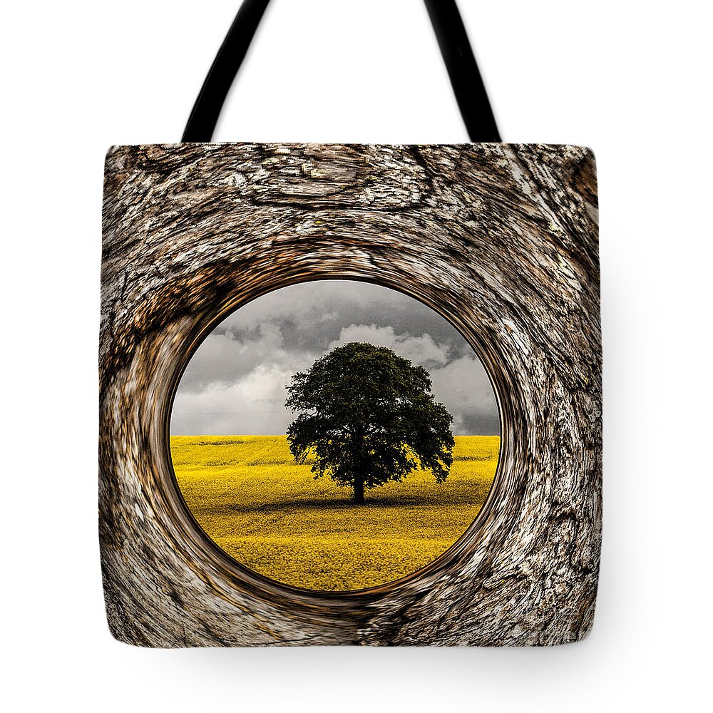 Bark Tote Bag featuring the photograph Bark Framed Oak Tree by Shirley Mangini