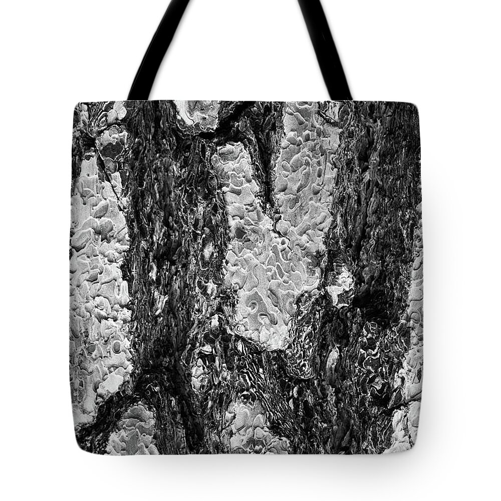 God Tote Bag featuring the photograph Bark or I Will by Scott Campbell