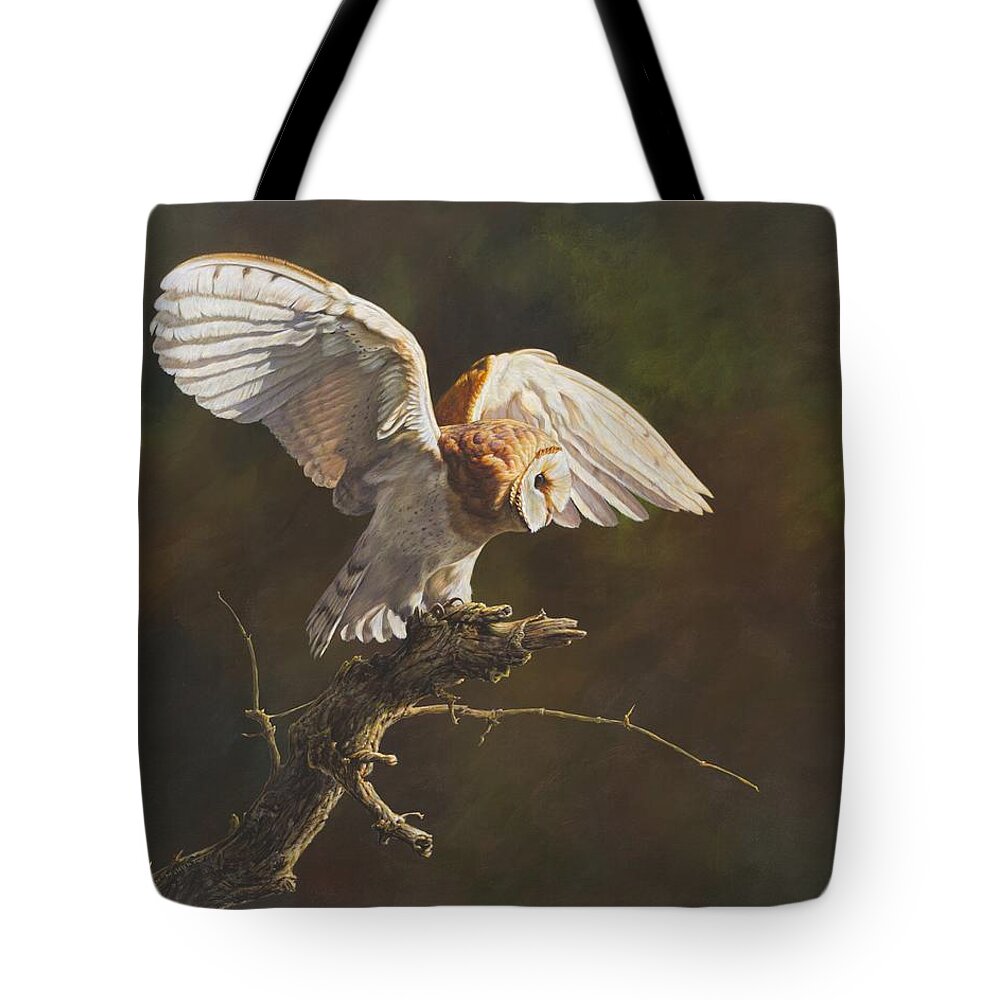 Wildlife Paintings Tote Bag featuring the painting Barn Owl by Alan M Hunt