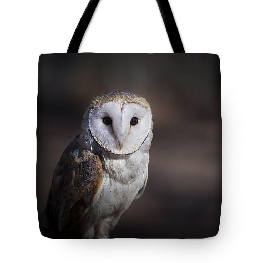 Owl Tote Bag featuring the photograph Barn Owl by Andrea Silies
