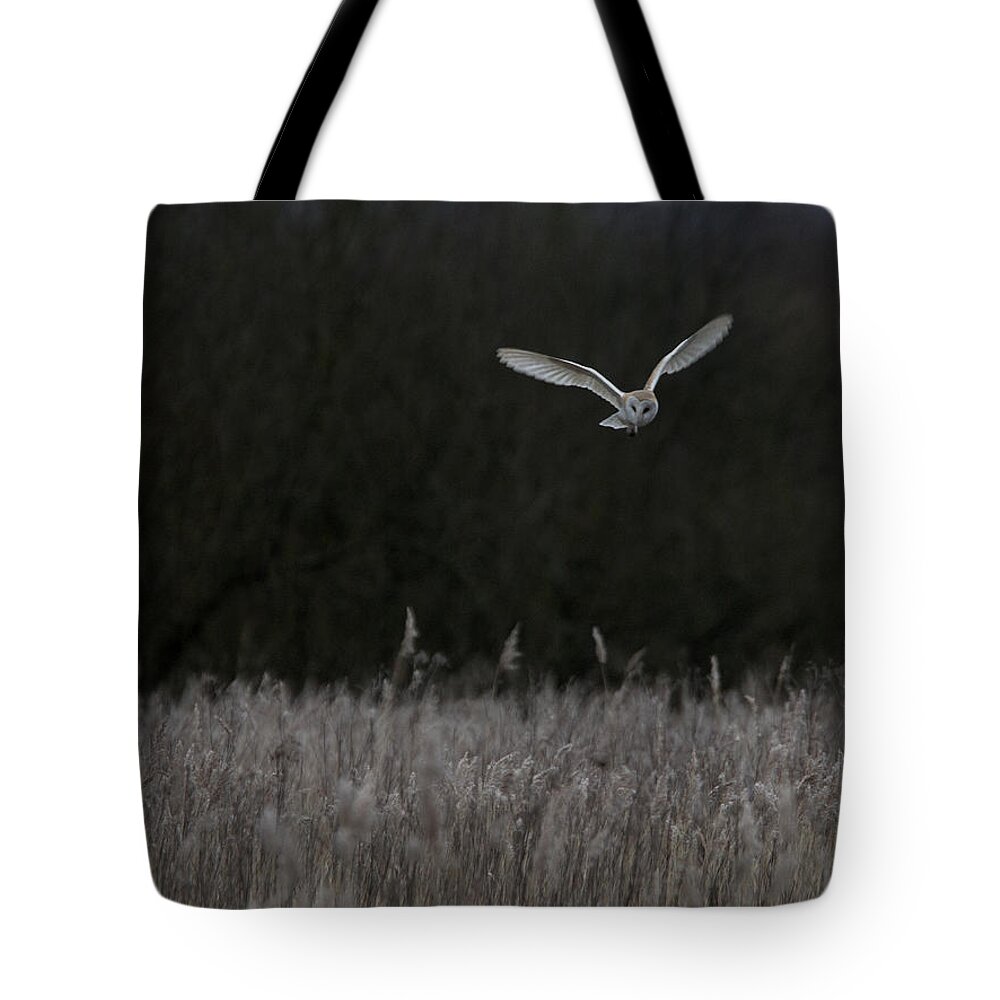 Barn Tote Bag featuring the photograph Barn Owl hunting at dusk by Tony Mills
