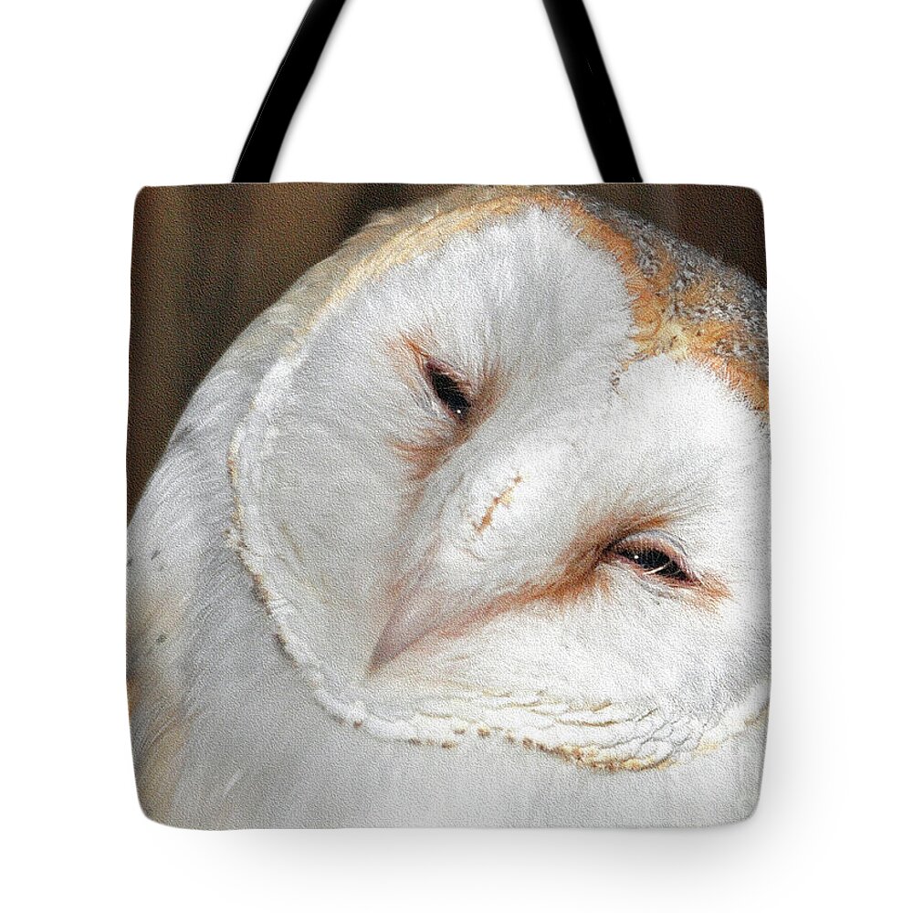 Owl Tote Bag featuring the photograph Barn Owl by Lydia Holly