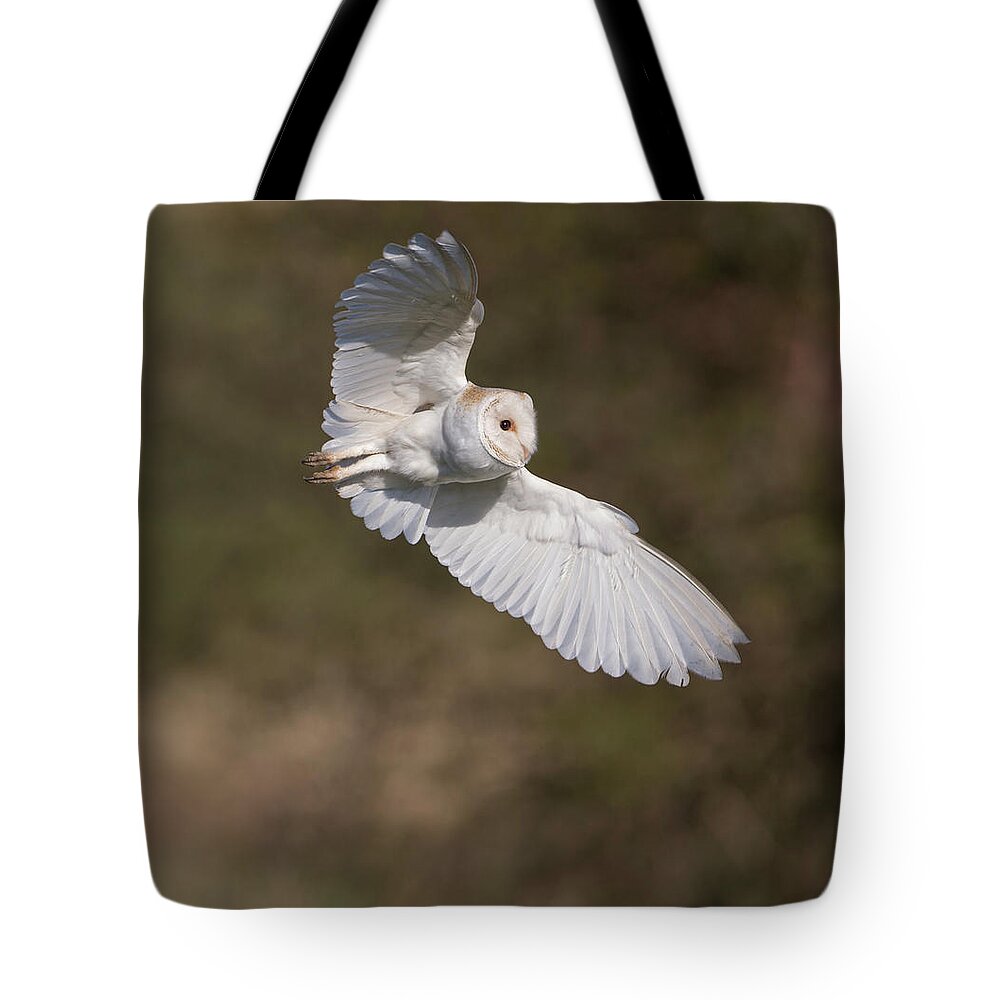 Barn Owl Tote Bag featuring the photograph Barn Owl Wings by Pete Walkden