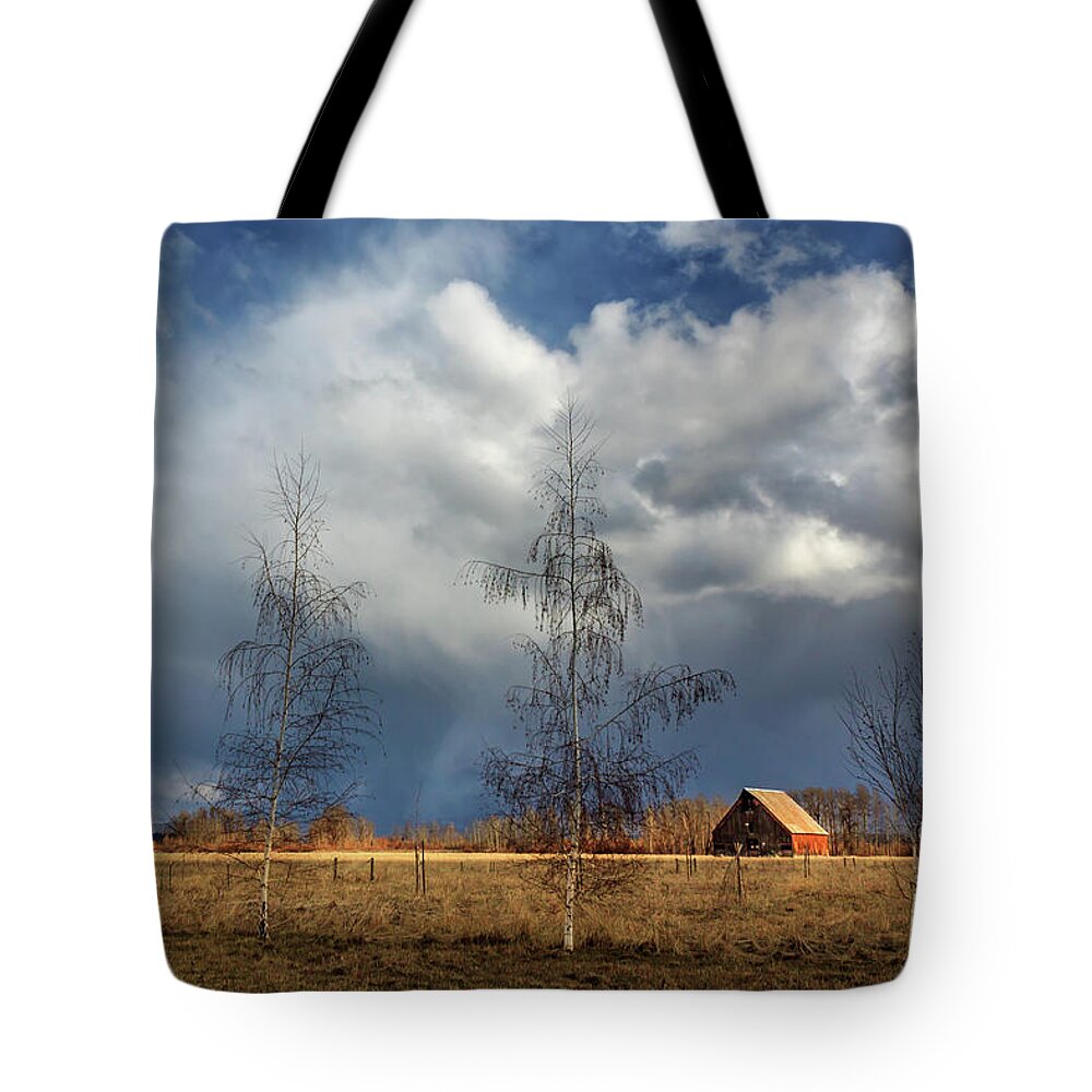 Barn Tote Bag featuring the photograph Barn Storm by James Eddy