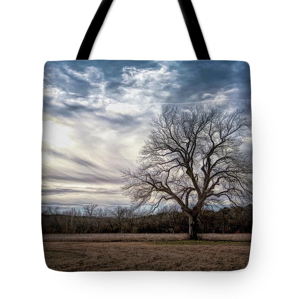Tree Tote Bag featuring the photograph Baron Tree of Winter by G Lamar Yancy