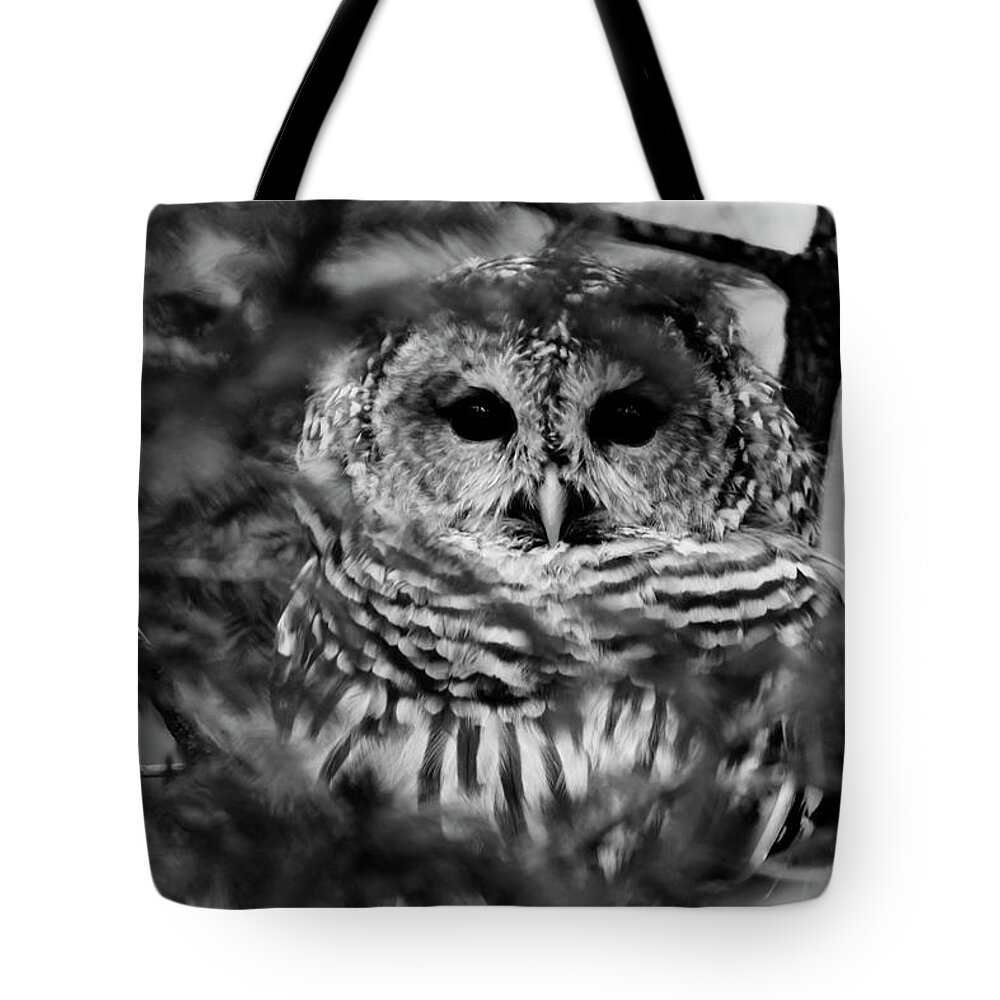 Barred Owl In Thought Tote Bag featuring the photograph Barred Owl in Black and White by Tracy Winter